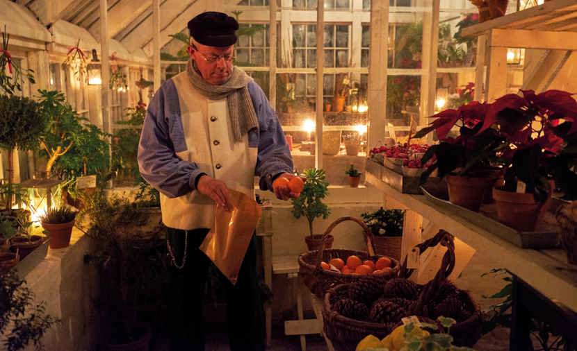 Besøg det hyggelige handelsgartneri